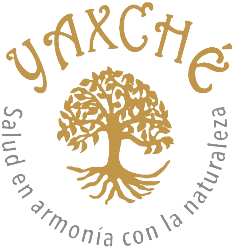 Yaxché