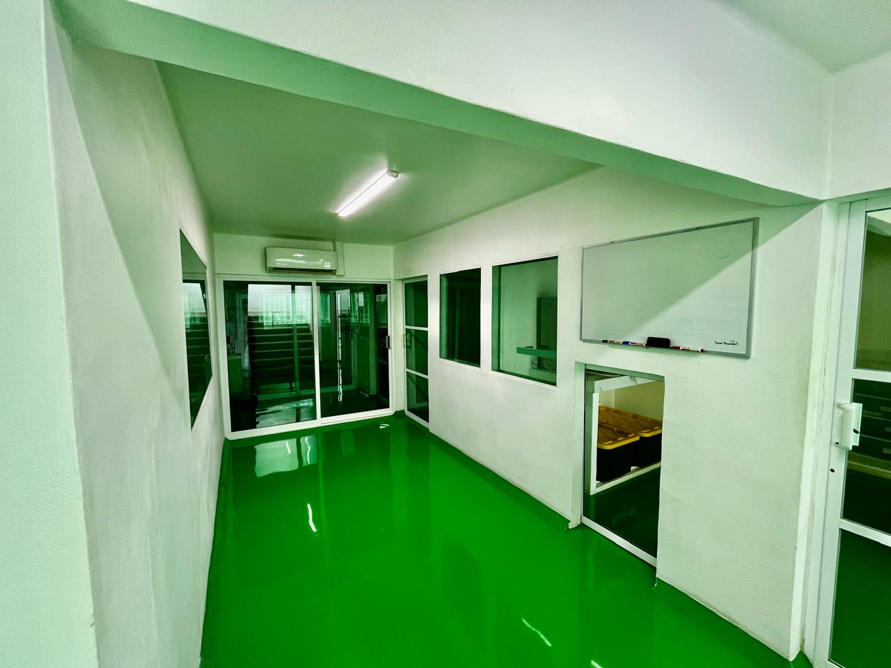 Galería Yaxché