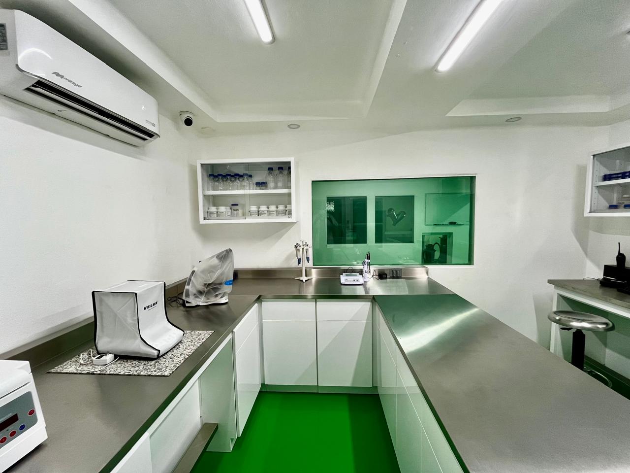 Galería Yaxché